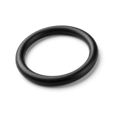 O-Ring N92138